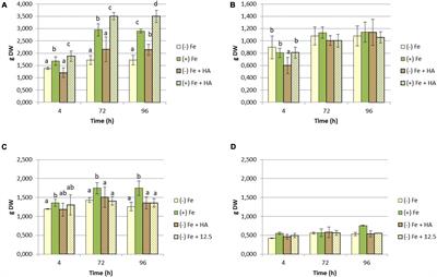 Humic Acid Alleviates Fe Chlorosis in Graminaceous Plants Through Coordinated Fe-Dependent and Fe-Independent Mechanisms